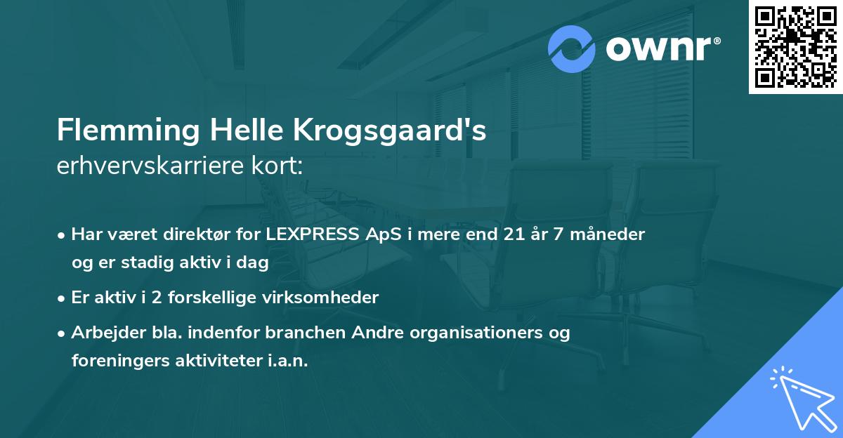 Flemming Helle Krogsgaard's erhvervskarriere kort