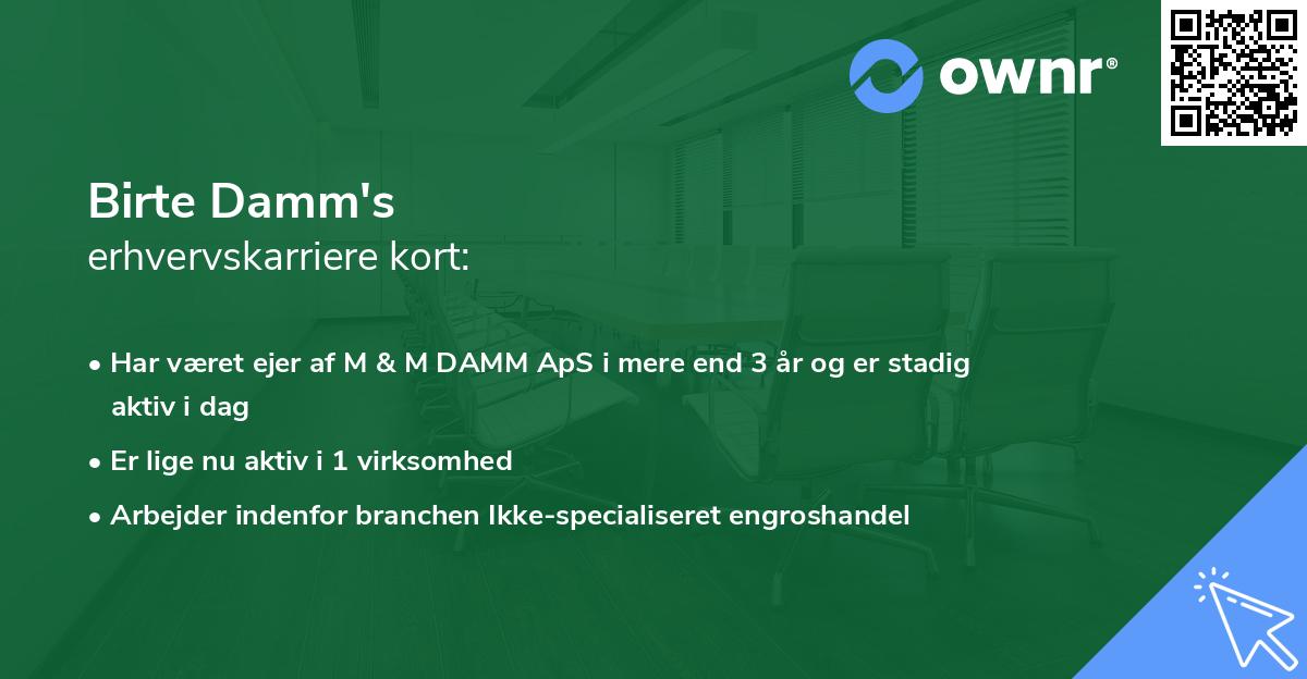 Birte Damm's erhvervskarriere kort