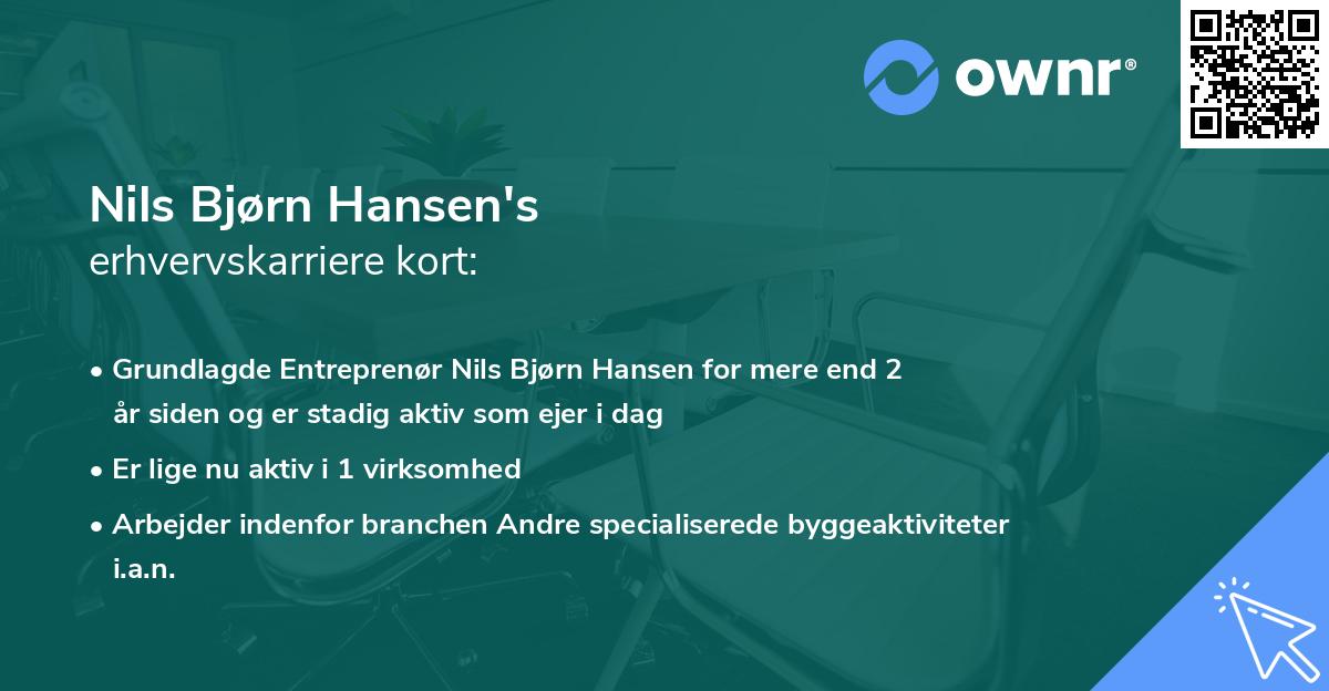 Nils Bjørn Hansen's erhvervskarriere kort