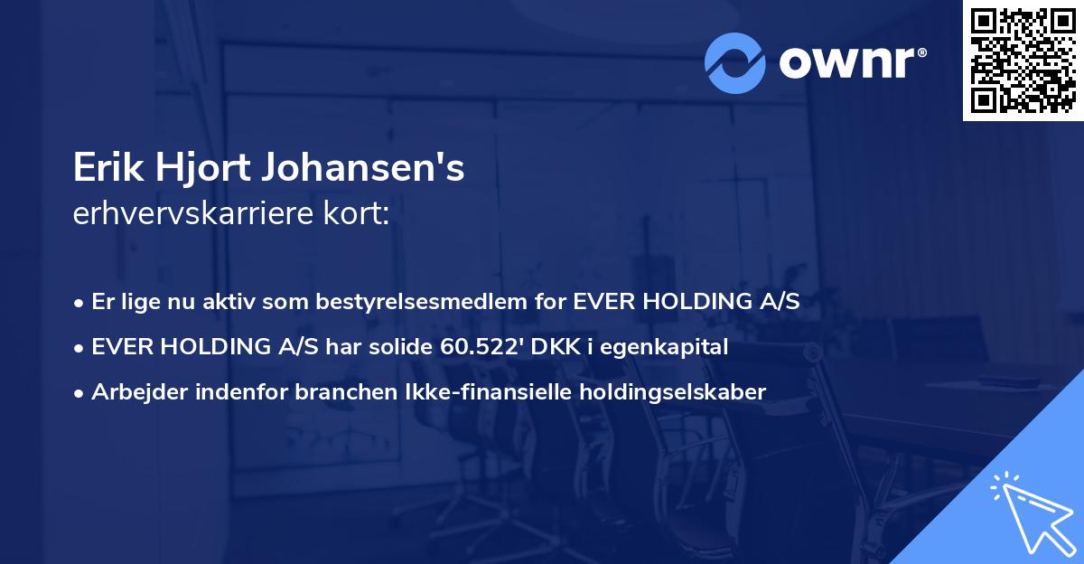 Erik Hjort Johansen's erhvervskarriere kort