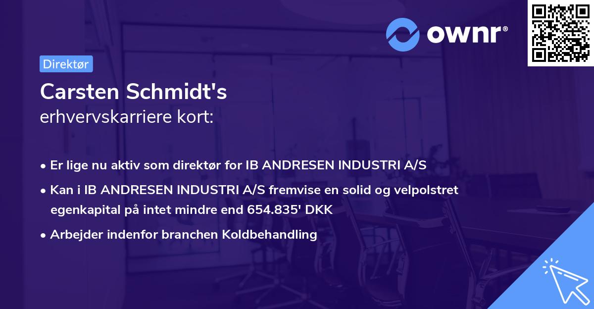 Carsten Schmidt's erhvervskarriere kort