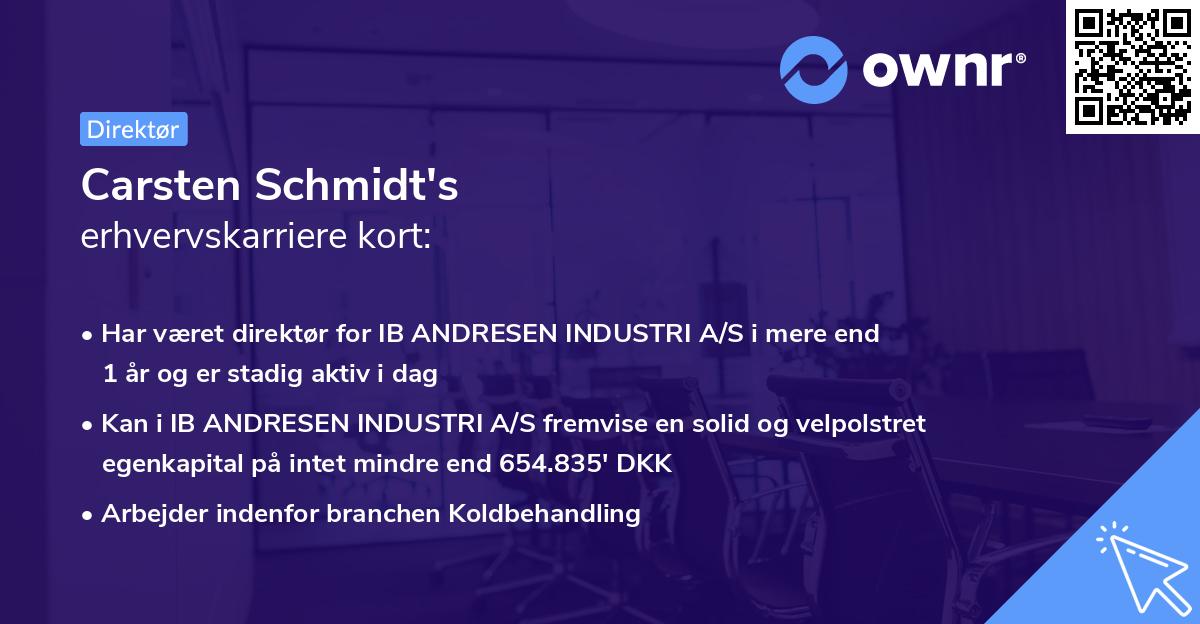Carsten Schmidt's erhvervskarriere kort