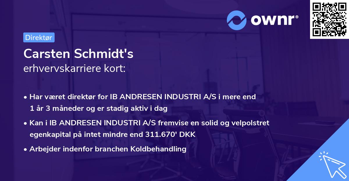 Carsten Schmidt's erhvervskarriere kort