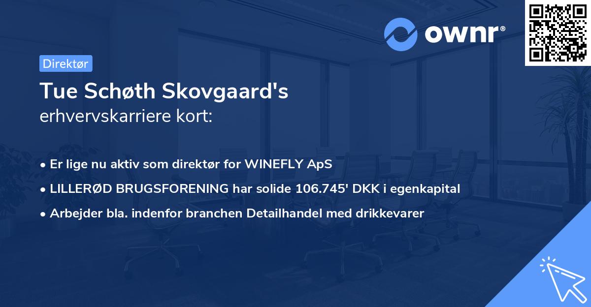 Tue Schøth Skovgaard's erhvervskarriere kort