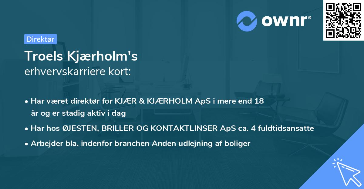 Troels Kjærholm's erhvervskarriere kort