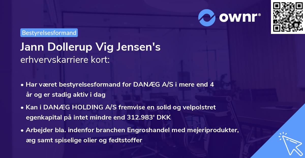 Jann Dollerup Vig Jensen's erhvervskarriere kort