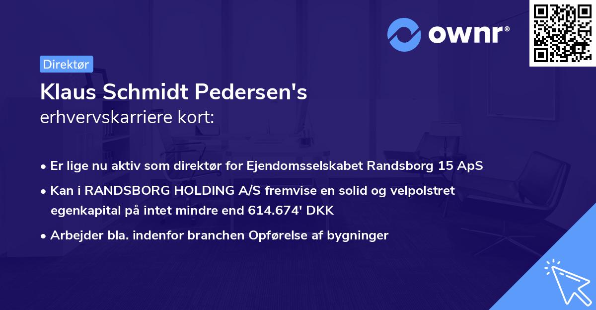 Klaus Schmidt Pedersen's erhvervskarriere kort