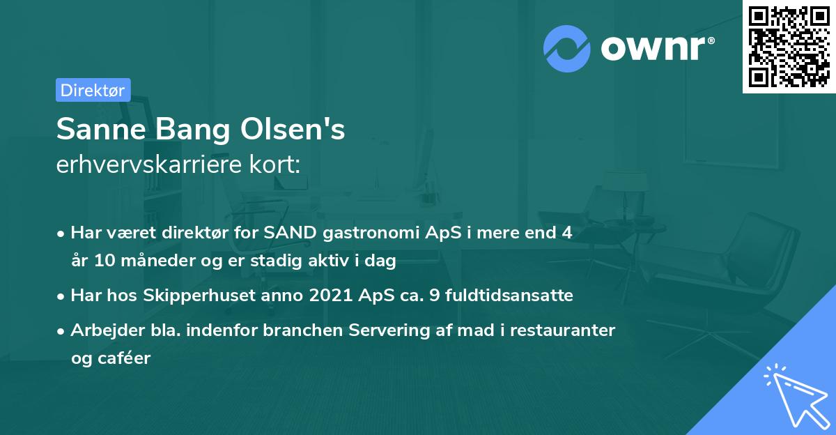 Sanne Bang Olsen's erhvervskarriere kort