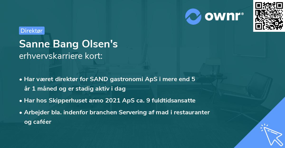 Sanne Bang Olsen's erhvervskarriere kort