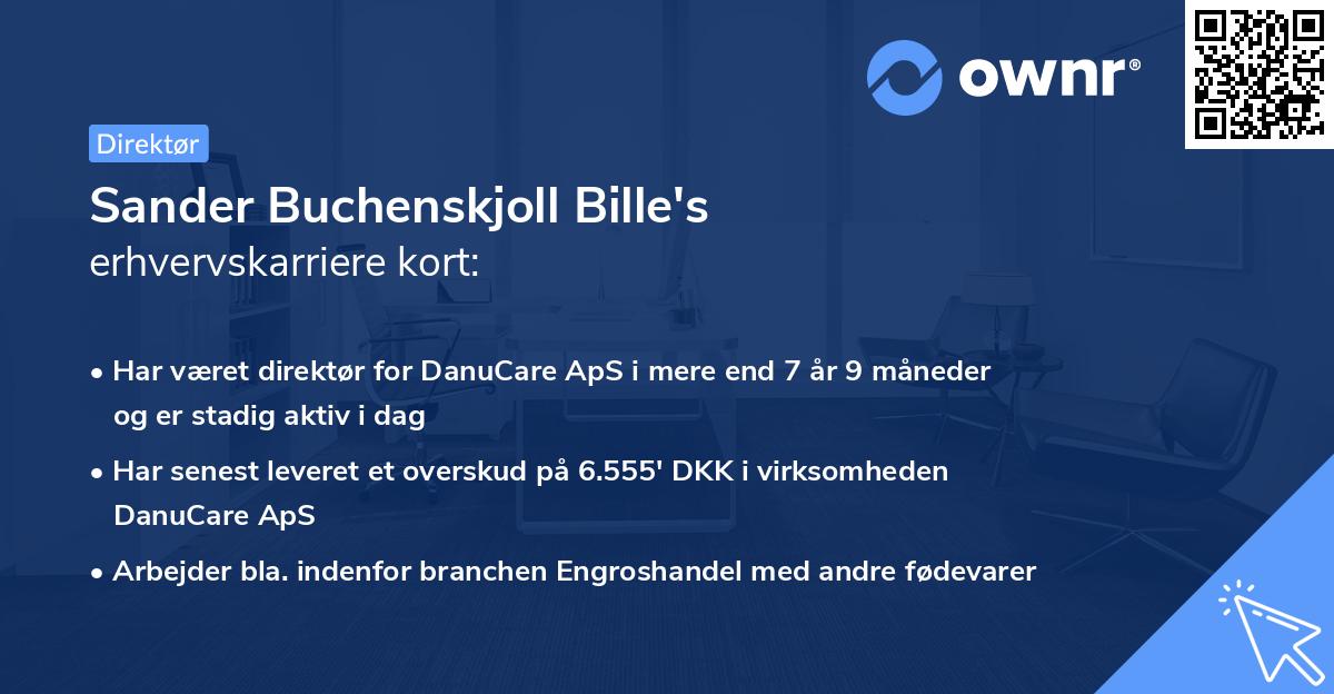 Sander Buchenskjoll Bille's erhvervskarriere kort