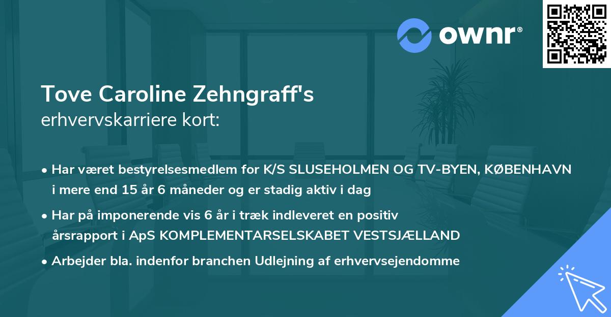 Tove Caroline Zehngraff's erhvervskarriere kort