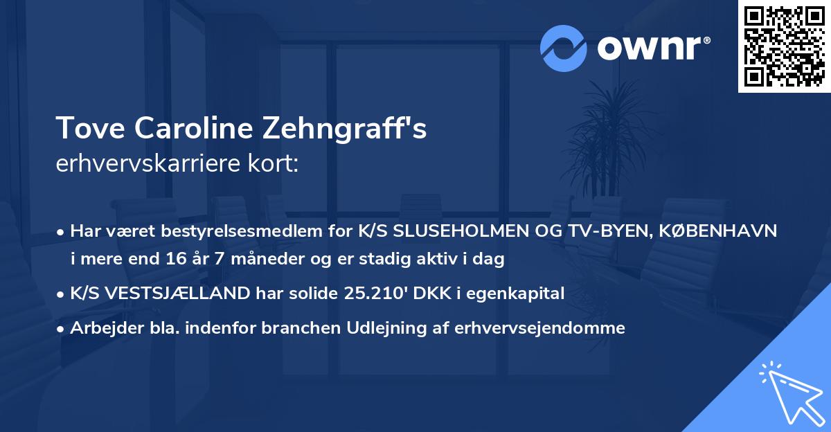 Tove Caroline Zehngraff's erhvervskarriere kort