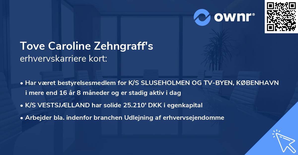 Tove Caroline Zehngraff's erhvervskarriere kort