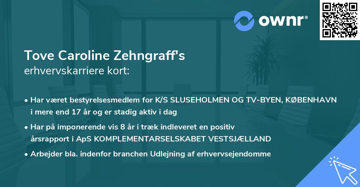 Tove Caroline Zehngraff's erhvervskarriere kort