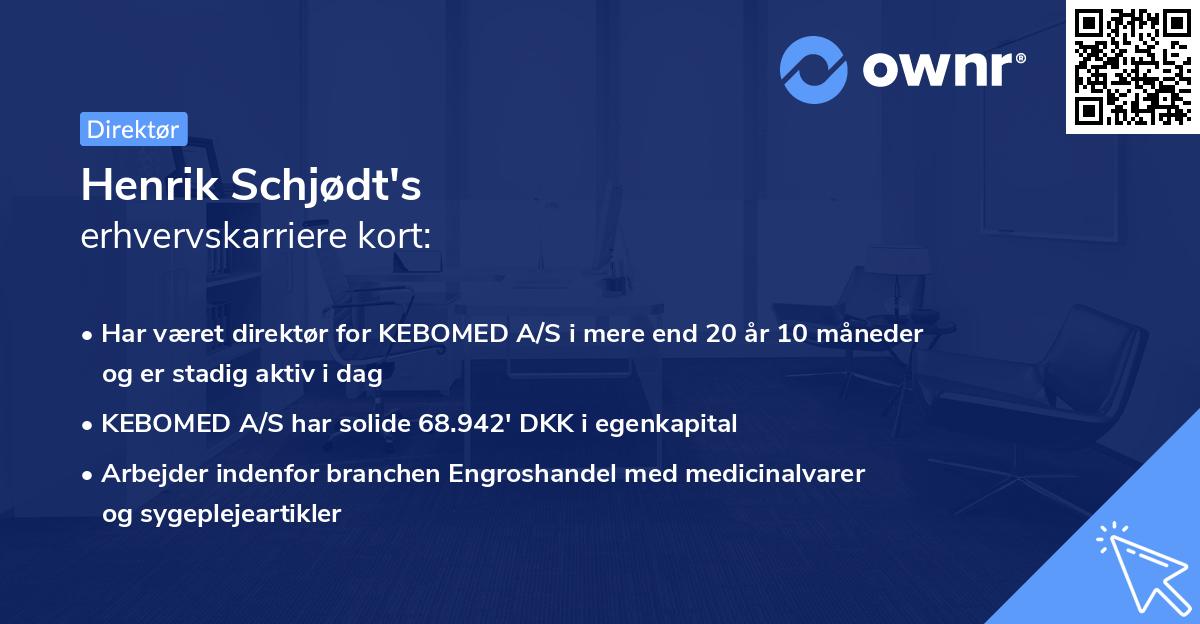 Henrik Schjødt's erhvervskarriere kort