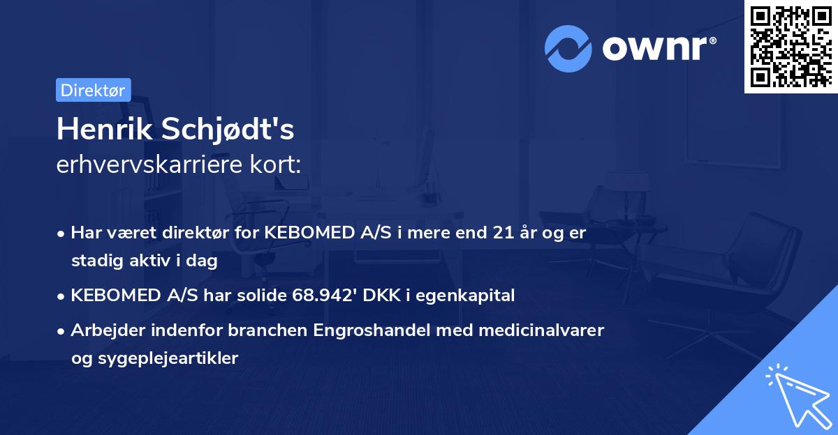 Henrik Schjødt's erhvervskarriere kort