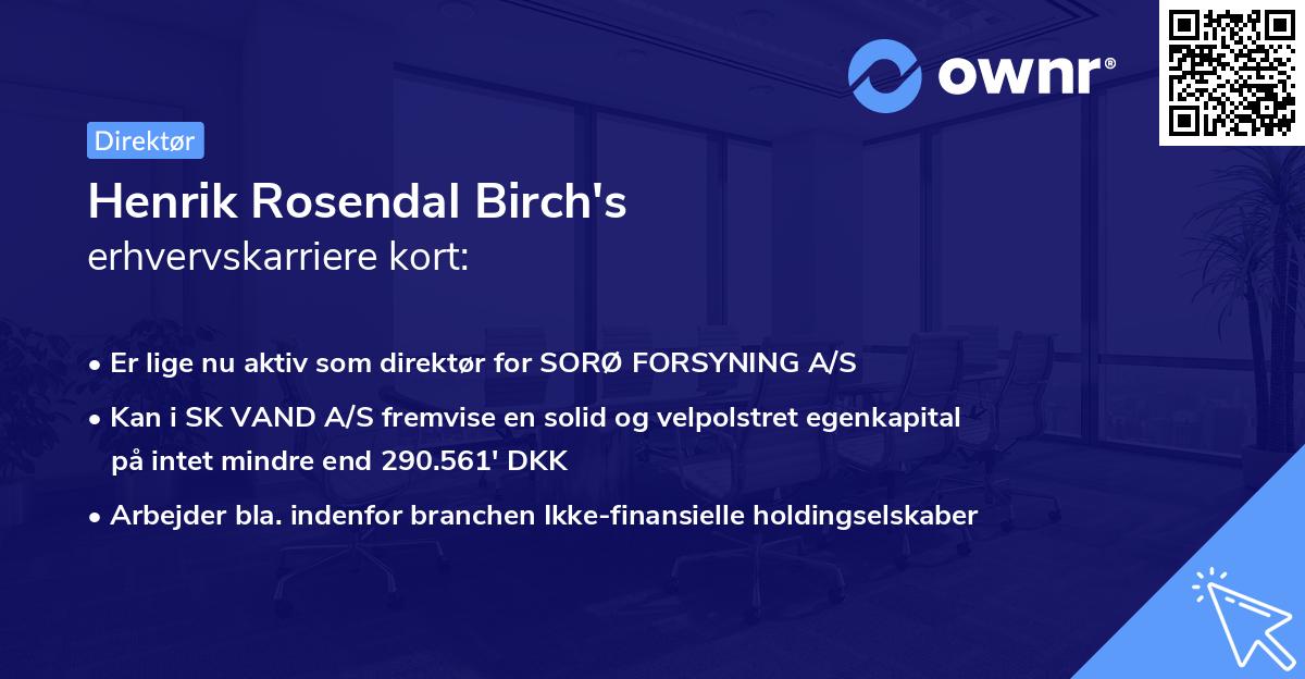 Henrik Rosendal Birch's erhvervskarriere kort