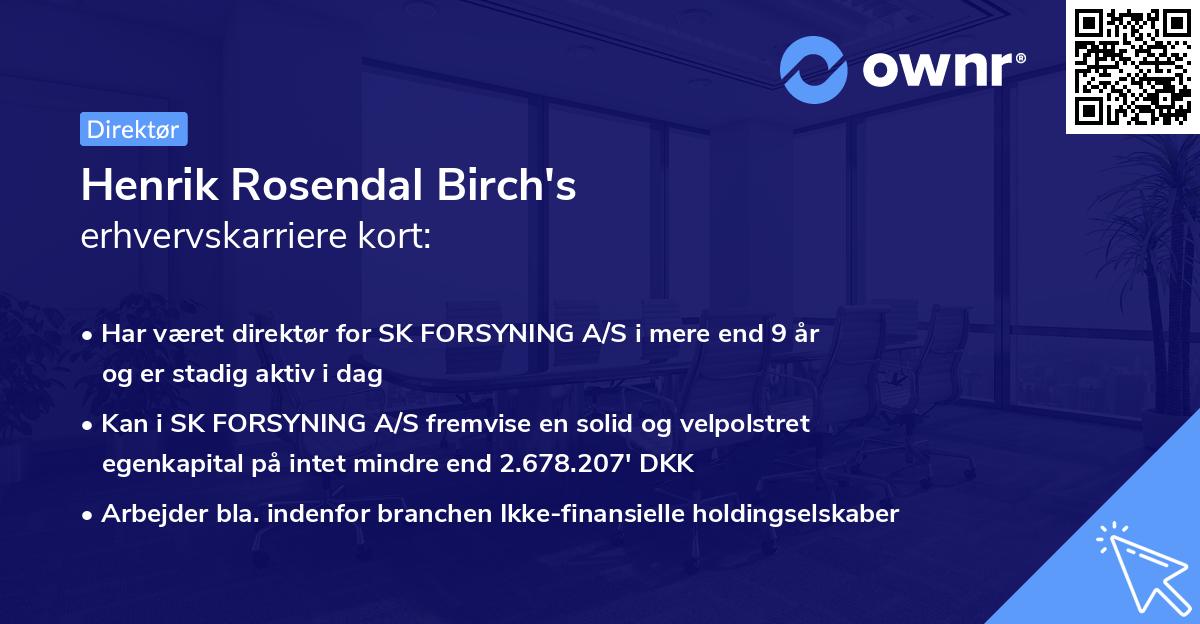 Henrik Rosendal Birch's erhvervskarriere kort