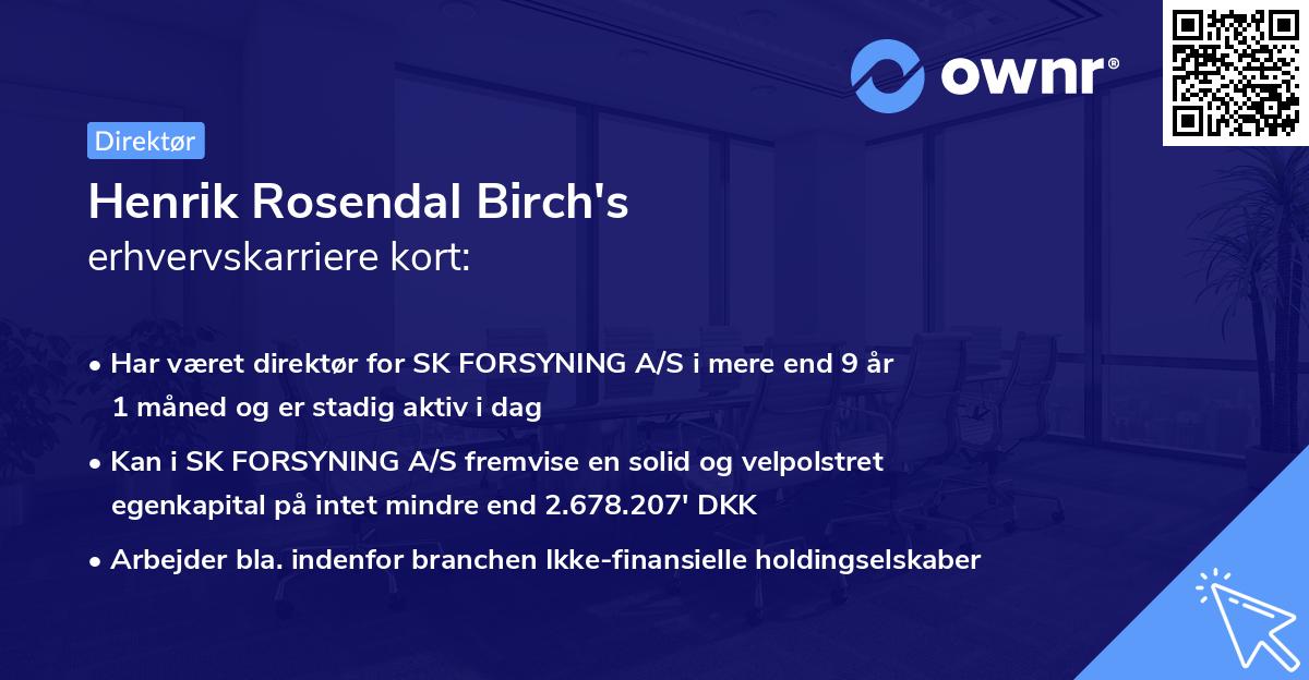 Henrik Rosendal Birch's erhvervskarriere kort