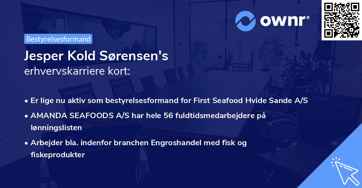 Jesper Kold Sørensen's erhvervskarriere kort