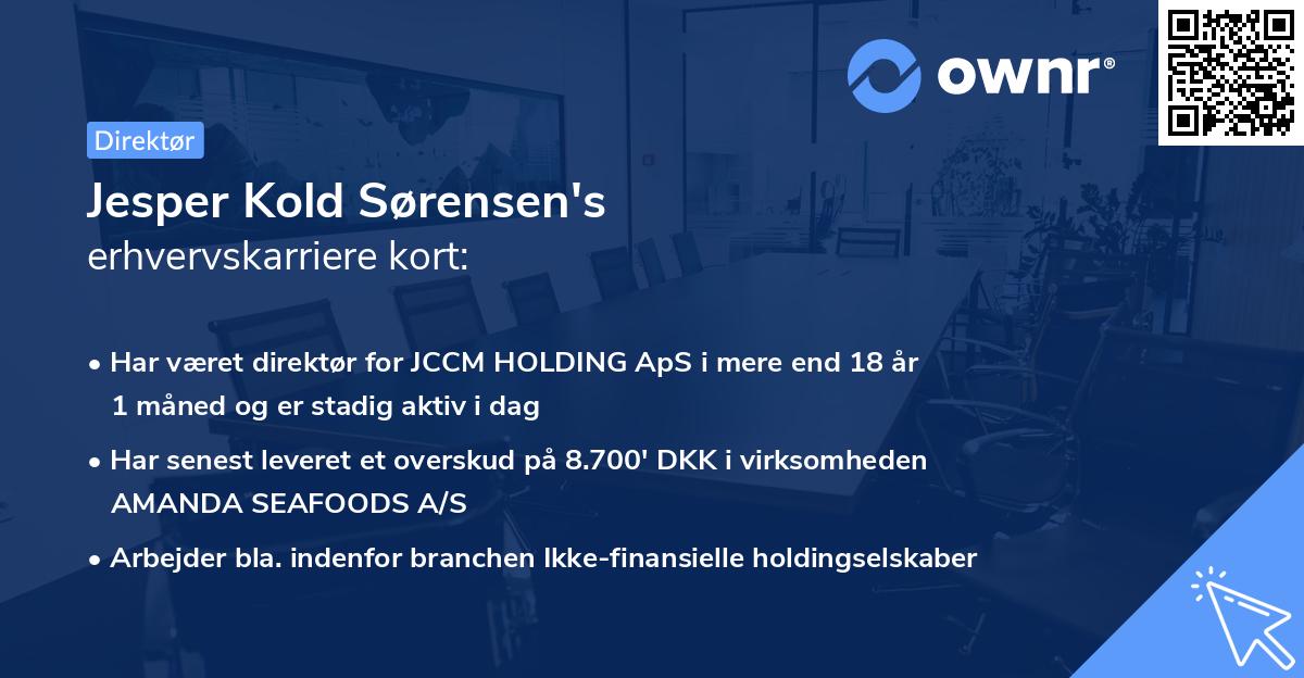 Jesper Kold Sørensen's erhvervskarriere kort