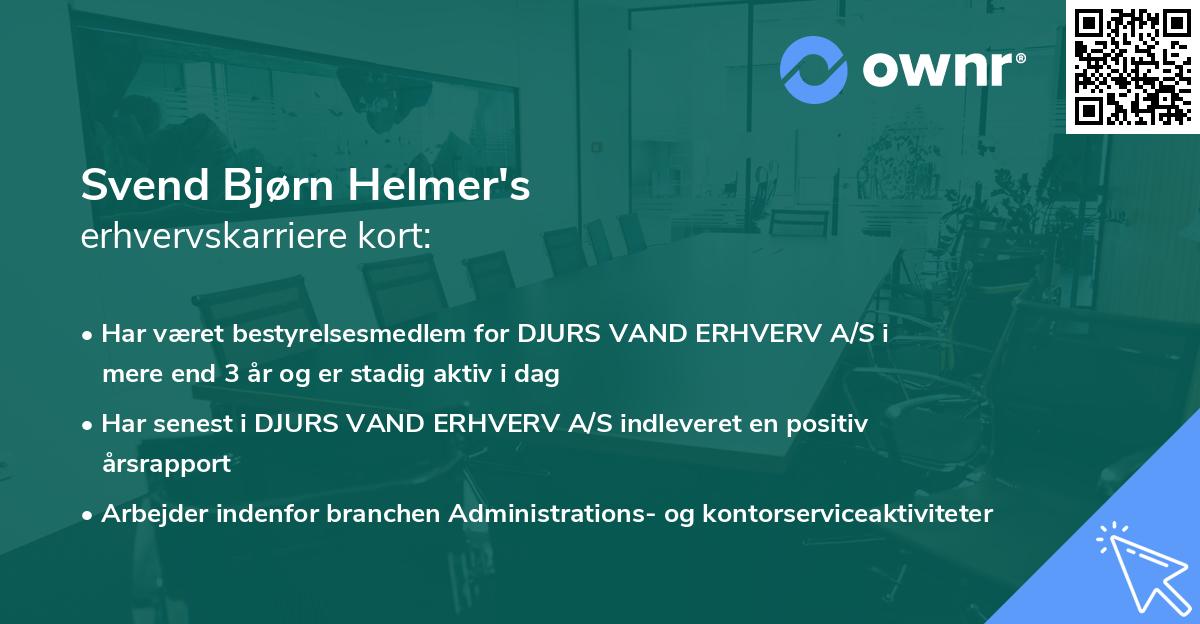 Svend Bjørn Helmer's erhvervskarriere kort