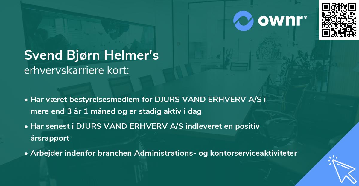Svend Bjørn Helmer's erhvervskarriere kort