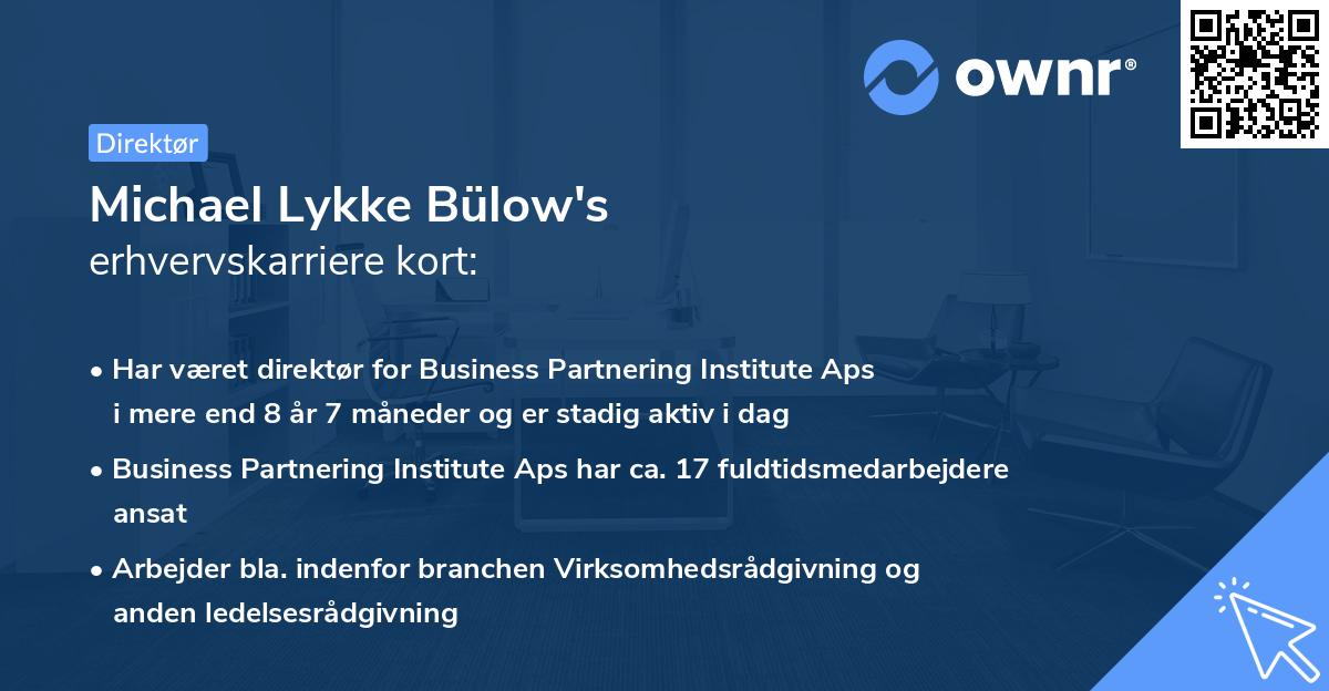 Michael Lykke Bülow's erhvervskarriere kort