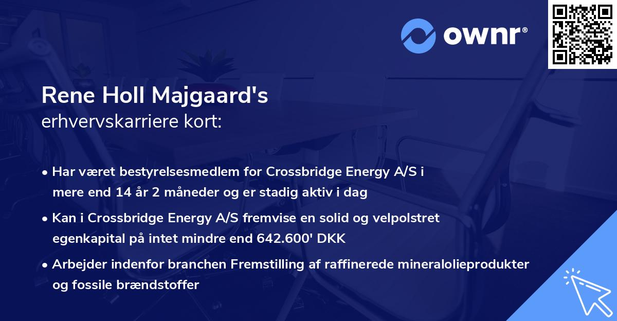 Rene Holl Majgaard's erhvervskarriere kort