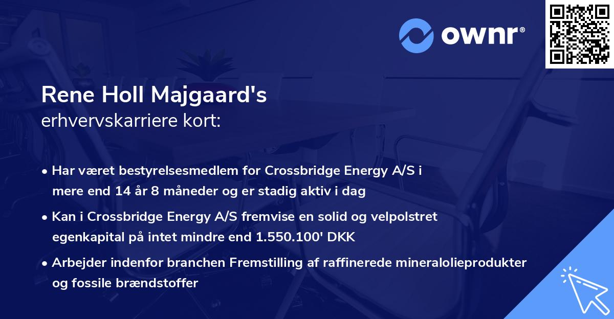 Rene Holl Majgaard's erhvervskarriere kort