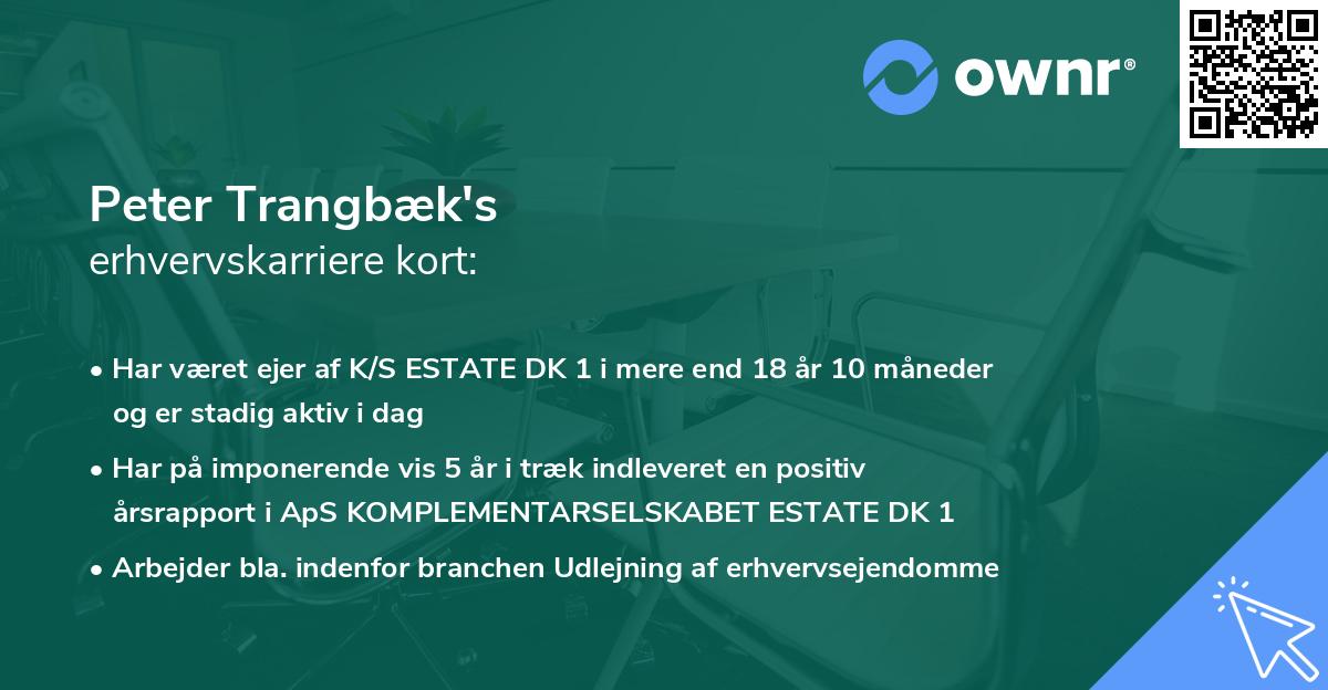 Peter Trangbæk's erhvervskarriere kort