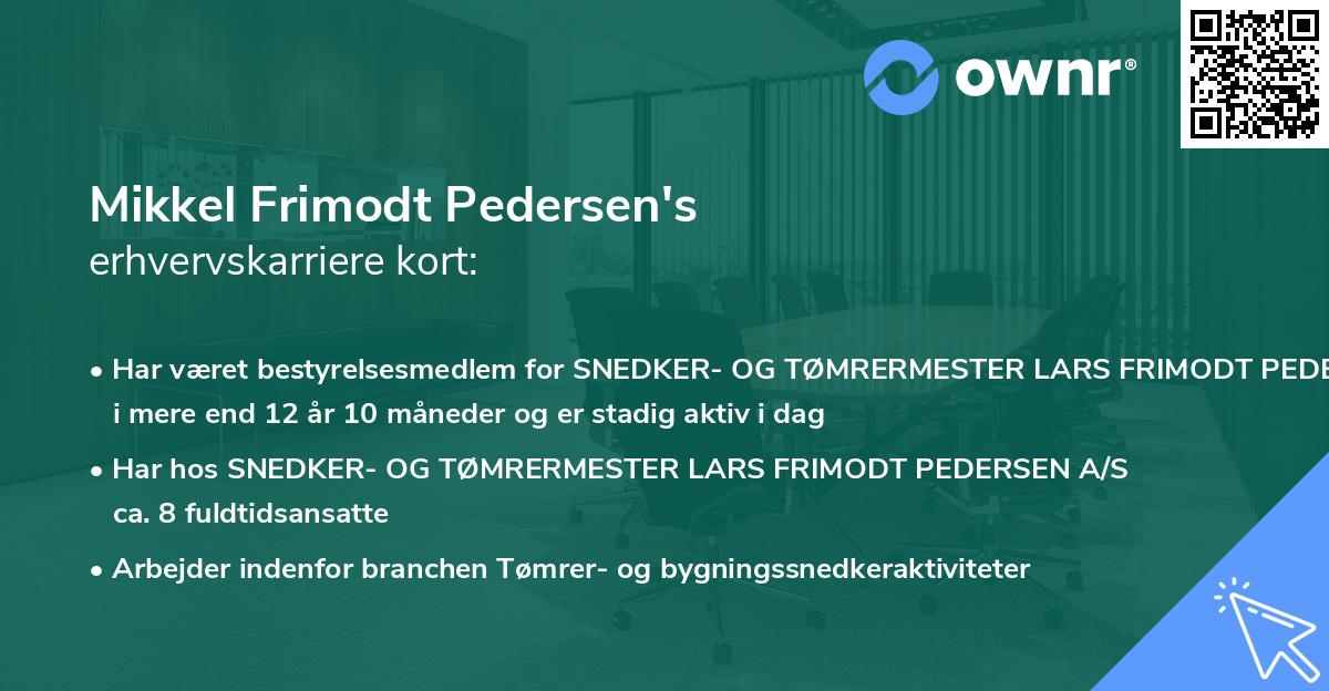 Mikkel Frimodt Pedersen's erhvervskarriere kort