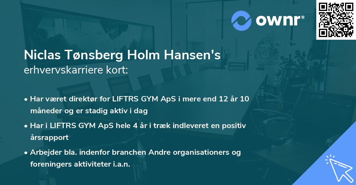 Niclas Tønsberg Holm Hansen's erhvervskarriere kort