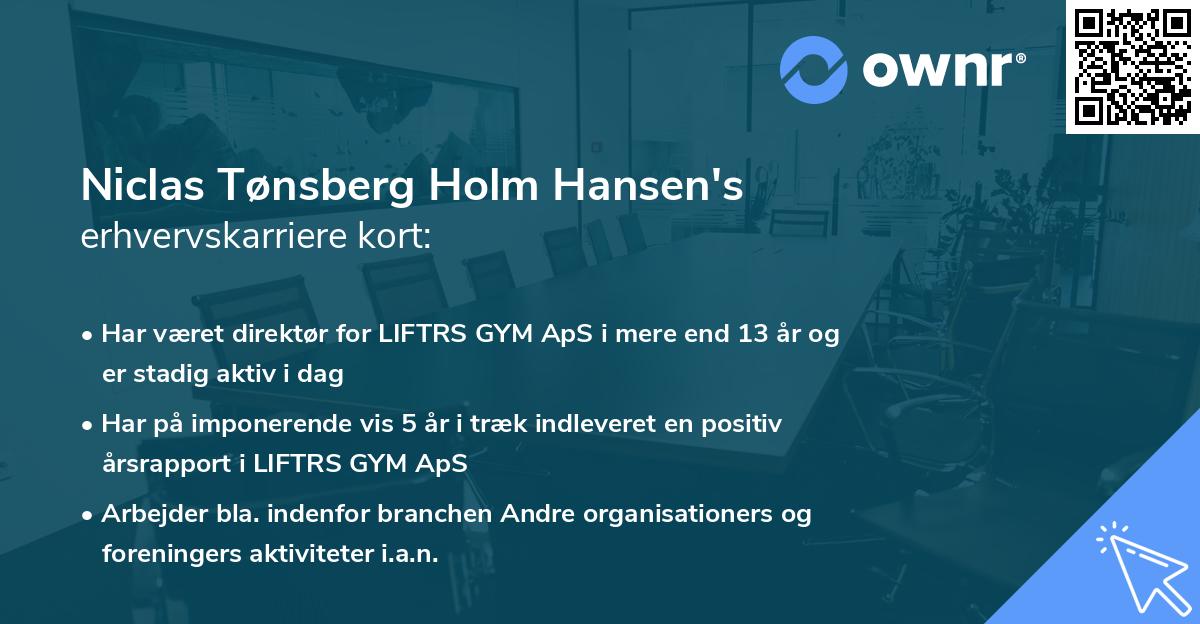 Niclas Tønsberg Holm Hansen's erhvervskarriere kort