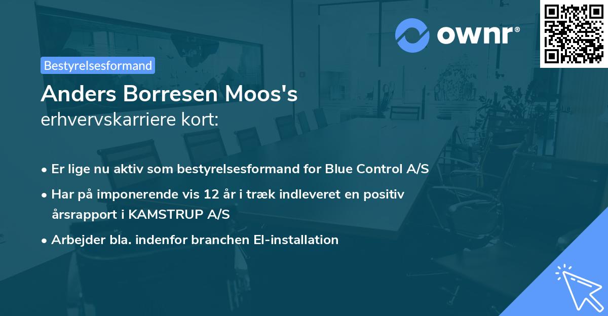 Anders Borresen Moos's erhvervskarriere kort