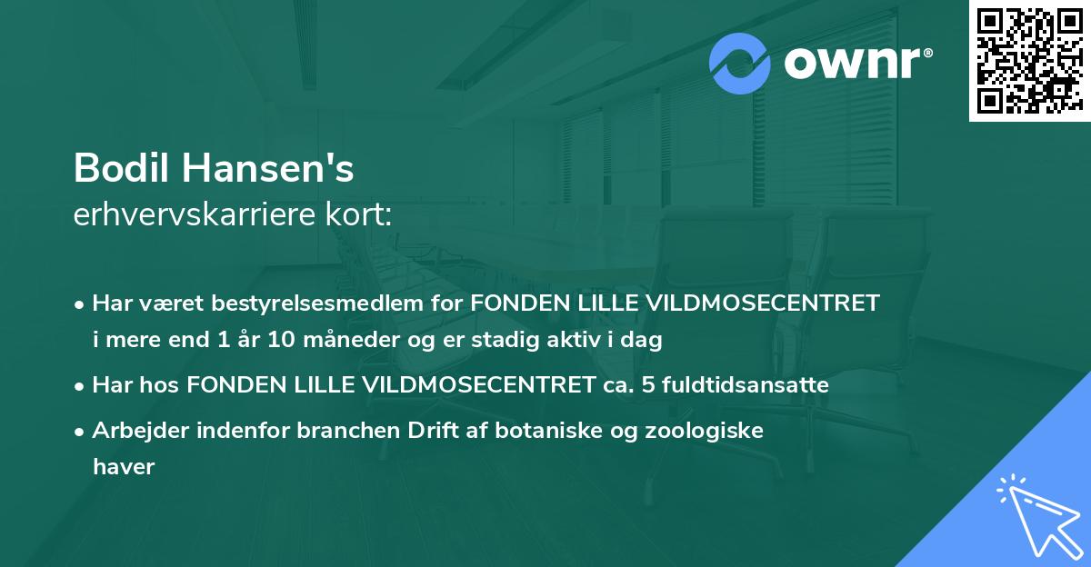 Bodil Hansen's erhvervskarriere kort
