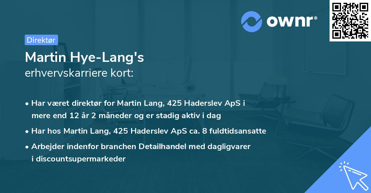 Martin Hye-Lang's erhvervskarriere kort