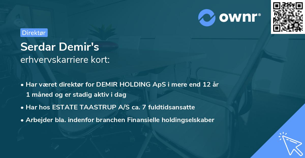 Serdar Demir's erhvervskarriere kort