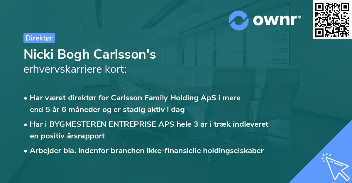 Nicki Bogh Carlsson's erhvervskarriere kort