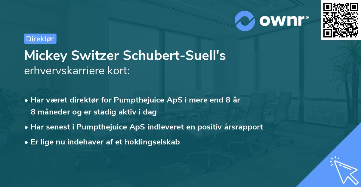 Mickey Switzer Schubert-Suell's erhvervskarriere kort