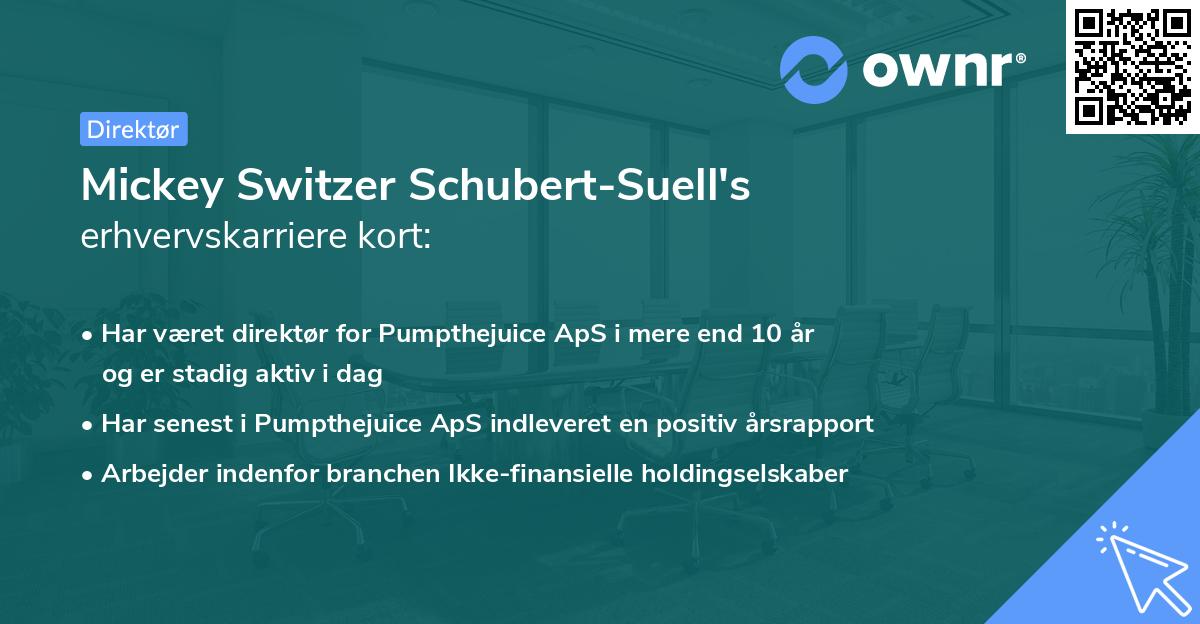 Mickey Switzer Schubert-Suell's erhvervskarriere kort