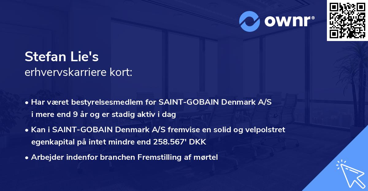Stefan Lie's erhvervskarriere kort