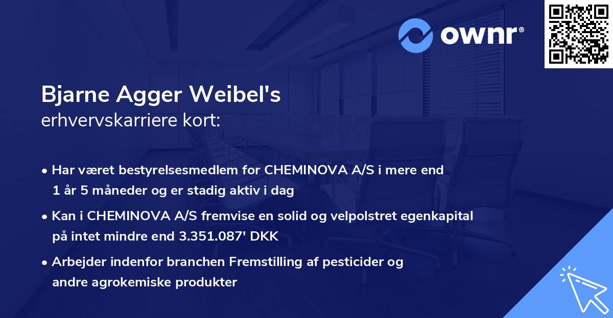 Bjarne Agger Weibel's erhvervskarriere kort