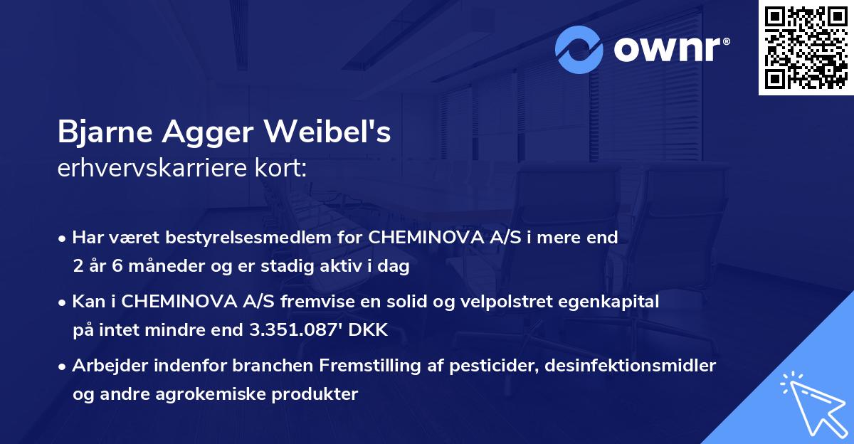 Bjarne Agger Weibel's erhvervskarriere kort