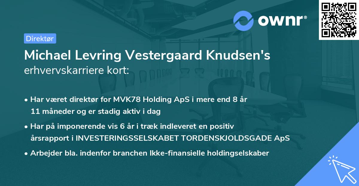 Michael Levring Vestergaard Knudsen's erhvervskarriere kort
