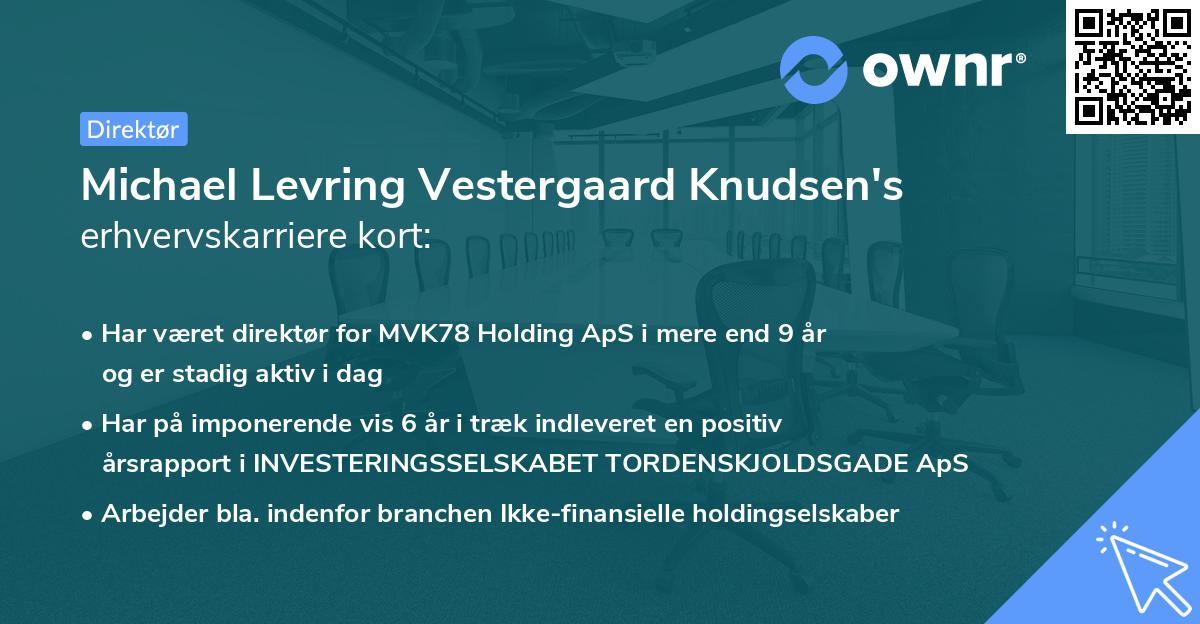 Michael Levring Vestergaard Knudsen's erhvervskarriere kort