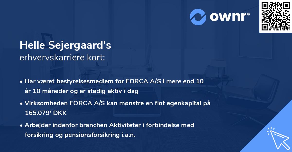 Helle Sejergaard's erhvervskarriere kort