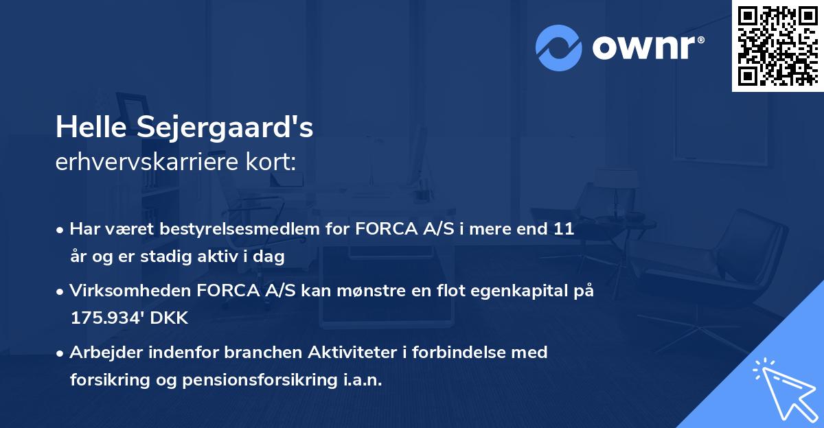 Helle Sejergaard's erhvervskarriere kort