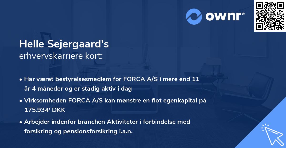 Helle Sejergaard's erhvervskarriere kort
