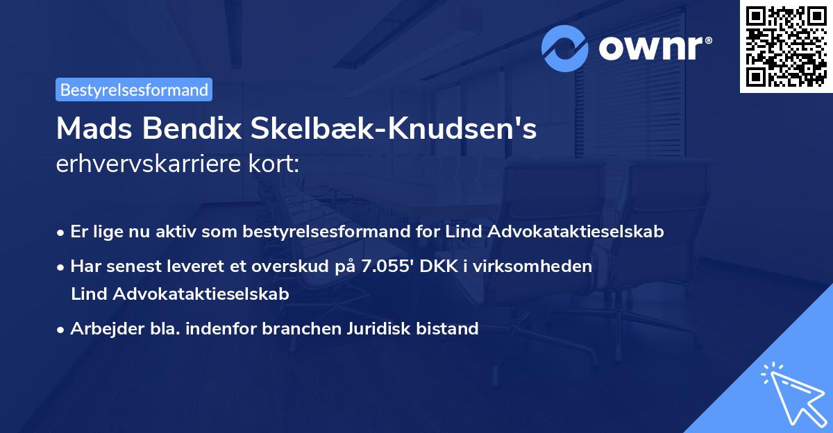 Mads Bendix Skelbæk-Knudsen's erhvervskarriere kort